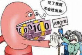 蝶山债务清欠服务