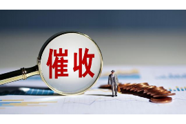 蝶山融资清欠服务